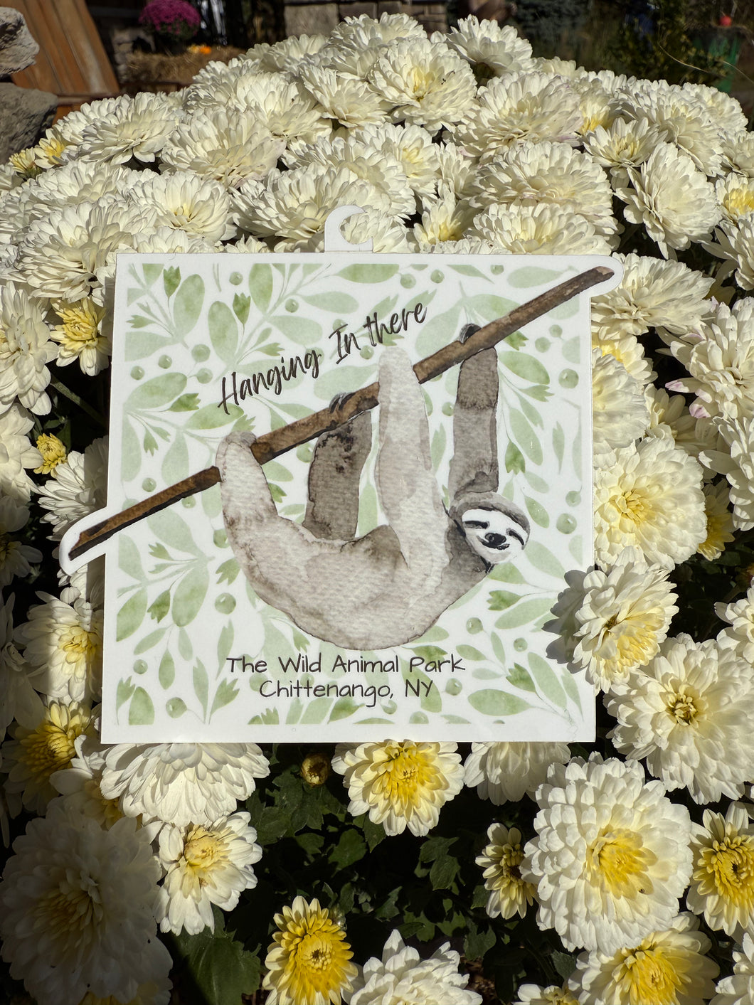 “Hanging in There” Sloth Sticker